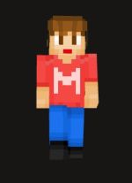 マイクラの写真