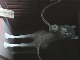 Pieni Mで撮影した写真