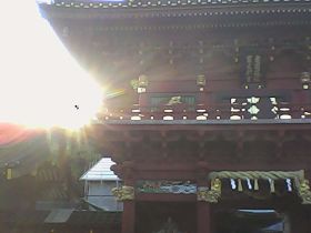 Pieni Mで撮影した写真