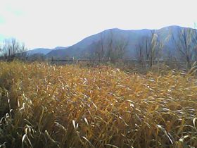 Pieni Mで撮影した写真