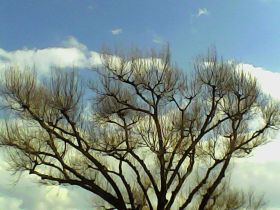 Pieni Mで撮影した写真