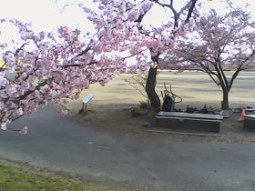 Pieni Mで撮影した写真