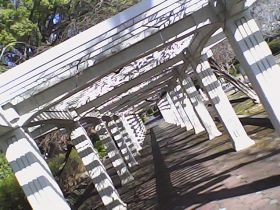 Pieni Mで撮影した写真