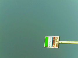 Pieni Mで撮影した写真