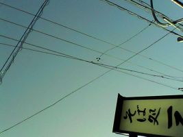 Pieni Mで撮影した写真