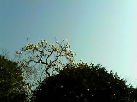 Pieni Mで撮影した写真