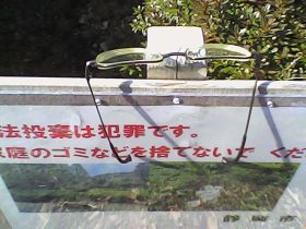 Pieni Mで撮影した写真