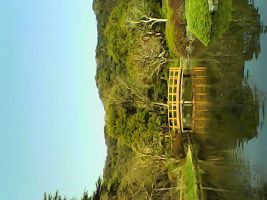 Pieni Mで撮影した写真