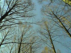 Pieni Mで撮影した写真