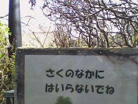 Pieni Mで撮影した写真