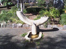 Pieni Mで撮影した写真